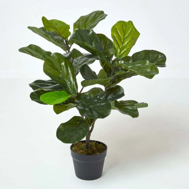 Image of Homescapes Artificial Fiddle Leaf Fig Tree in Pot, 70cm Tall Green