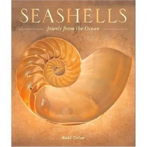 Image of Seashells Book
