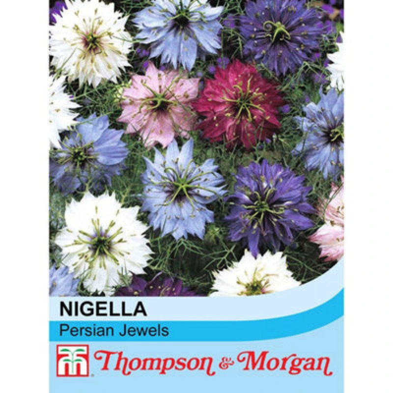 Image of Thompson & Morgan Nigella Damascena Persian Jewels 1 Packet (600 Seeds)