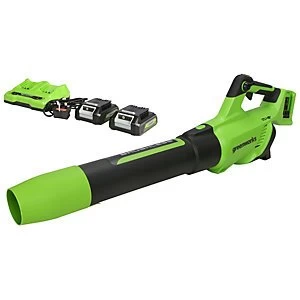 Image of Greenworks 48v (2 X 24V) Axial Blower with 2 x 2ah Battery & charger