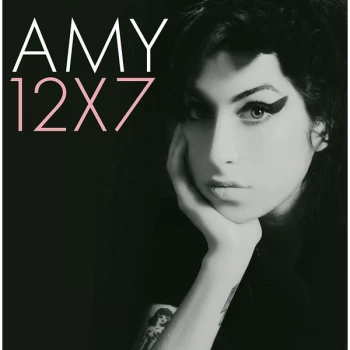 Image of Amy - 12X7 Vinyl