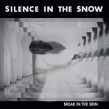Image of Silence in the Snow - Break in the Skin Vinyl