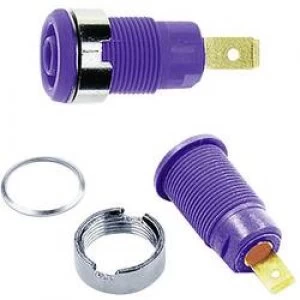 Image of Safety jack socket Socket build in Violet Staeubli