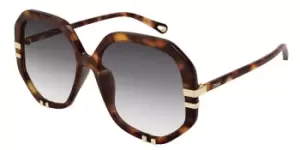 Image of Chloe Sunglasses CH0105S 004