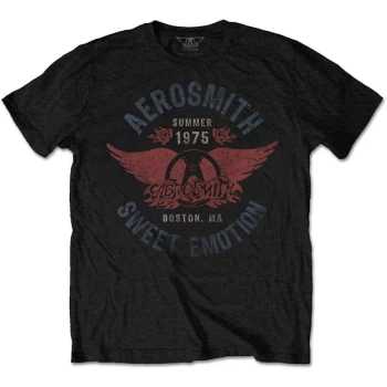 Image of Aerosmith - Sweet Emotion Unisex Medium T-Shirt - Black