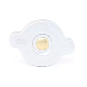 Image of CALORSTAT by Vernet Radiator Cap VW,OPEL,FORD RC0027 1306J1,1609680180,1640187402000 1647187402000,1351958,1455876,4026783,4137897,F87H8100AA,1326000