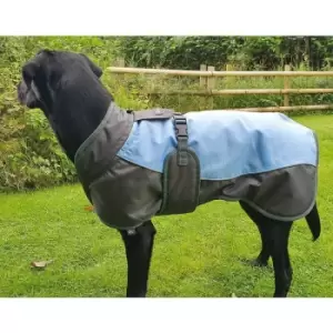 Image of Waterproof Dog Coat - Xsmall (35 Cm) Blue / Grey - Henry Wag