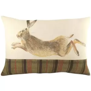 Image of Evans Lichfield Hunter Jumping Hare Cushion Cover (One Size) (Green/Brown/Red) - Green/Brown/Red