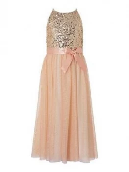 Image of Monsoon Girls Truth Sequin Maxi Dress - Pink