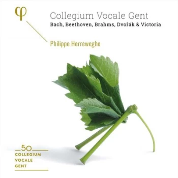 Image of Collegium Vocale Gent Bach Beethoven Brahms Dvorak & Victoria by Collegium Vocale Gent CD Album
