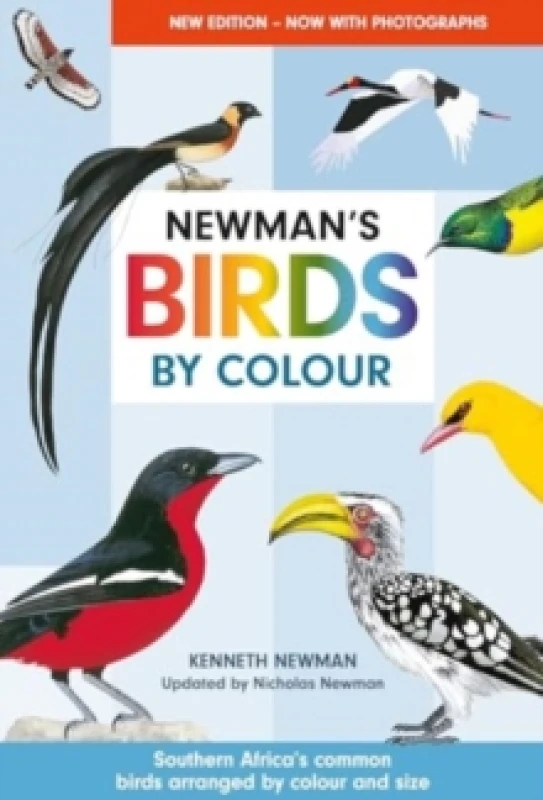 Image of Newman's Birds by Colour : Southern Africa's Common Birds Arranged by Colour and Size Paperback / softback