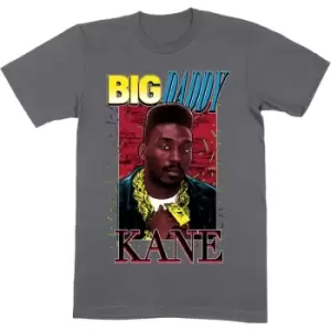 Image of Big Daddy Kane - Ropes Unisex X-Large T-Shirt - Grey