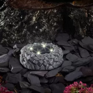 Image of Smart Garden Smart Solar Petra Up Light