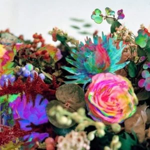 Image of Darkstar - News From Nowhere Double Vinyl