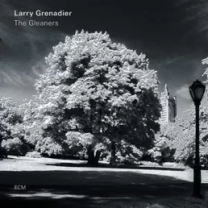 Image of The Gleaners by Larry Grenadier Vinyl Album