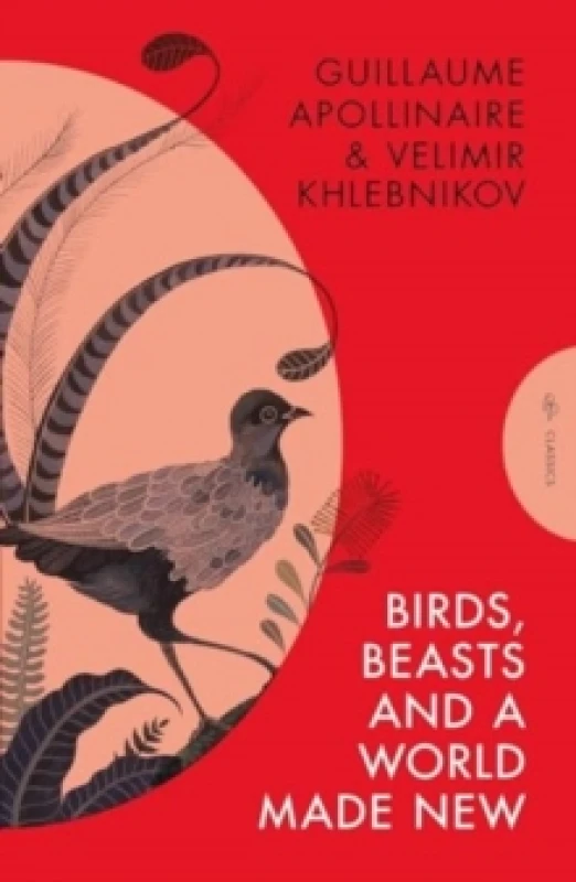 Image of Birds, Beasts and a World Made New Paperback / softback