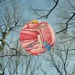 Image of They Might Be Giants - Glean (Music CD)