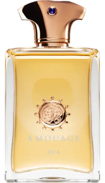 Image of Amouage Dia Eau de Parfum For Him 100ml