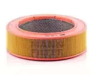 Image of Air Filter C30122 By Mann-Filter