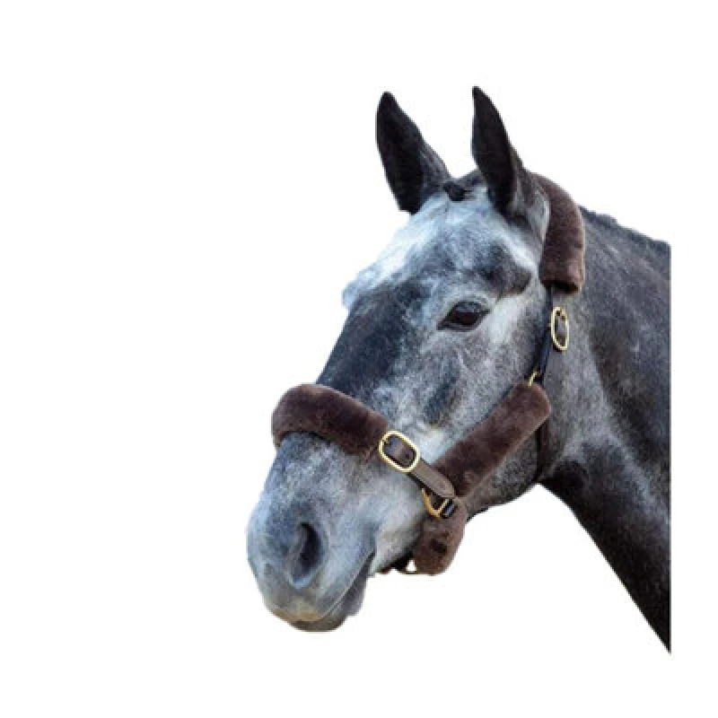 Image of Shires Performance Horses Supafleece Halter Fleeces (Pack Of 9) Brown (One Size)