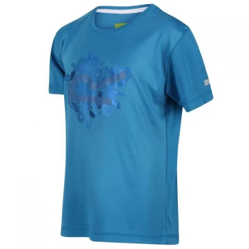 Image of Regatta Alvarado V - Blue Aster