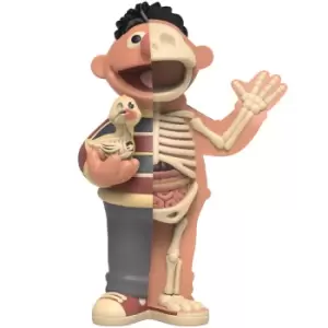 Image of XXRAY Plus 8.5'' Ernie Retro Edition