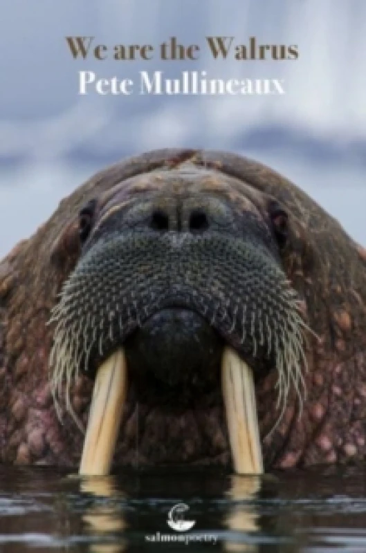 Image of We Are The Walrus Paperback / softback