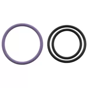 Image of Seal Ring Kit 103743 by Febi Bilstein