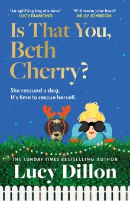 Image of Is That You, Beth Cherry? the warm and witty new novel from the author of Irresponsible Adult Hardback