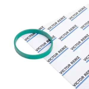 Image of REINZ Intake Manifold Gasket 40-77586-00 Inlet Manifold Gasket,Gasket, intake manifold FORD,VOLVO,Focus II Schragheck (DA_, HCP, DP)