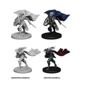 Image of Pathfinder Battles Premium Painted Figure (W2) Elf Paladin Female