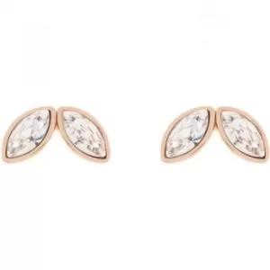 Image of Ted Baker Ladies Rose Gold Plated Genii Geometric Bee Stud Earring