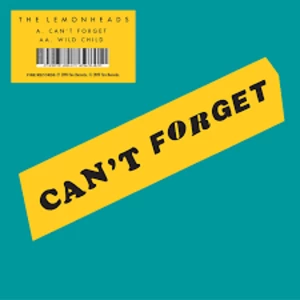 Image of The Lemonheads - Can't Forget / Wild Child Vinyl