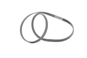 Image of CONTITECH V-ribbed belt 4PK1217 Serpentine belt,Auxiliary belt AUDI,RENAULT,PEUGEOT,A4 Avant (8ED, B7),A4 Avant (8E5, B6),A6 Avant (4B5, C5)