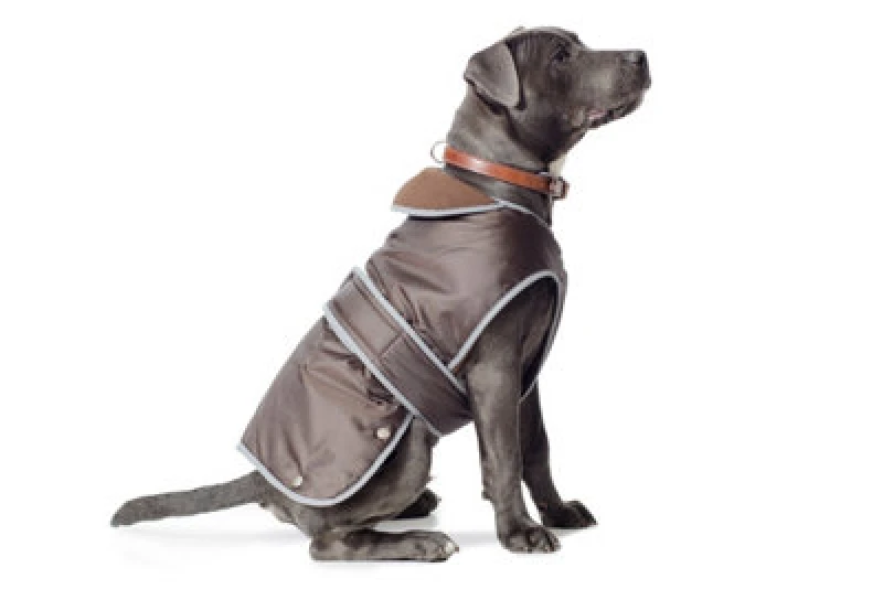 Image of Ancol Waterproof All Weather Stormguard Dog Coat Chocolate unisex