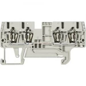 Image of Wieland 56.703.5155.0 WKFN 25 D2235 Grau 0.13 4 mm2 Grey