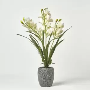 Image of Homescapes - White Orchid 82cm Cymbidium in Cement Pot Extra Large, 3 Stems - White & Green