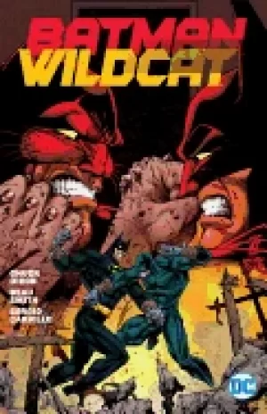 Image of batman wildcat