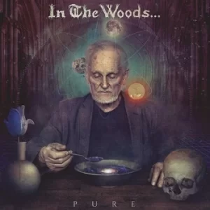 Image of Pure by In The Woods CD Album