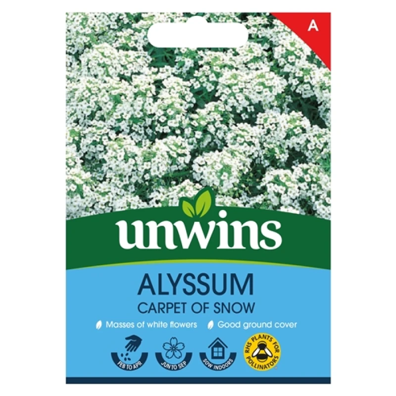 Image of Unwins Alyssum Carpet Of Snow