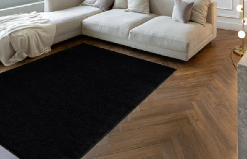 Image of RugsX Eton Plus Carpet Black, One-Color, Uniform, Plain 100X200 Cm