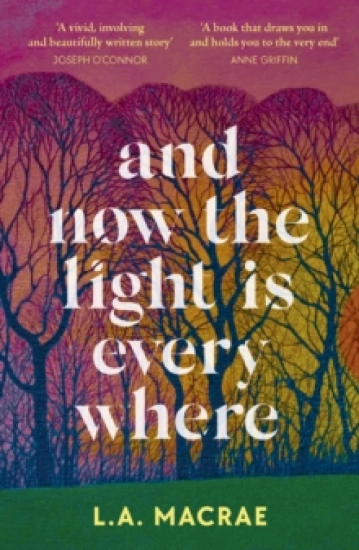 Image of And Now the Light is Everywhere : A stunning debut novel of family secrets and redemption Paperback / softback