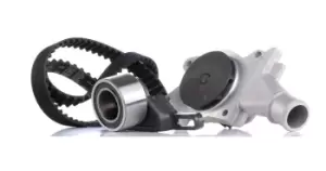 Image of SKF Water Pump + Timing Belt Kit VKMC 04201 FORD,FIESTA III (GFJ),ESCORT IV Cabriolet (ALF),SIERRA (GBG, GB4),ESCORT IV (GAF, AWF, ABFT)