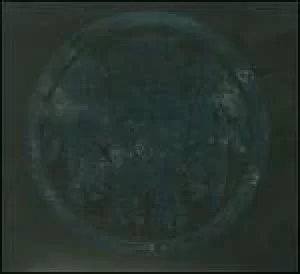 Image of underneath the owl