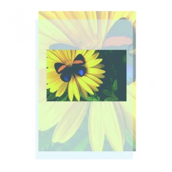 Image of Cut Flush Folder Embossed Pack of 100 PM22180C2