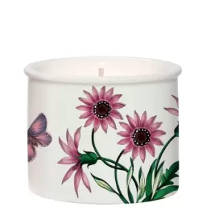 Image of Wax Lyrical Portmeirion Botanic Garden Treasure Flower Scented Candle 155g
