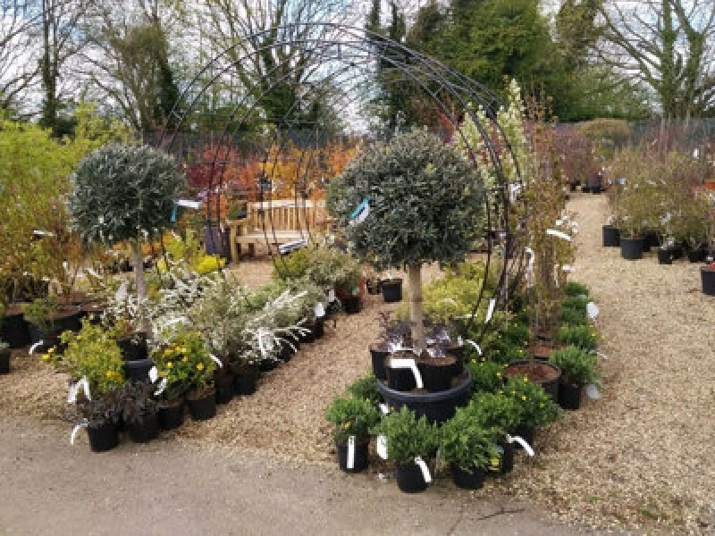 Image of Poppy Forge Round Tunnel (Including Ground Spikes) Bare Metal - Ready To Rust - Steel - L228.6 X W238.8 X H66 Cm
