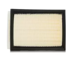 Image of RIDEX Air filter BMW,ROVER,WIESMANN 8A0078 13721730449,13721730946,13721738462 Engine air filter,Engine filter GFE1140,PHE10004,PHE10004EVA