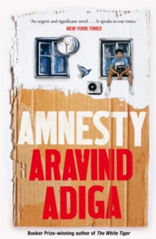 Image of Amnesty Paperback / softback