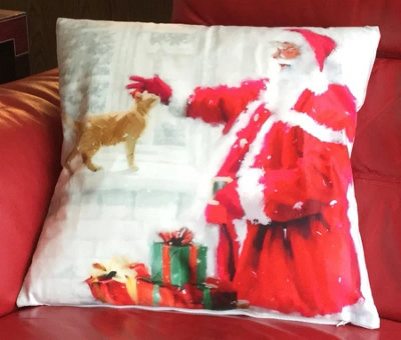Image of Luxury Living Christmas Santa And Cat Decorative Cushion With Pad 45cm x 45cm Red